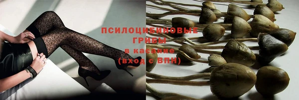 ПСИЛОЦИБИНОВЫЕ ГРИБЫ Алексеевка