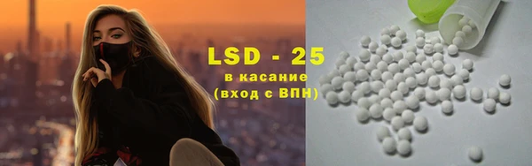 сатива Алзамай