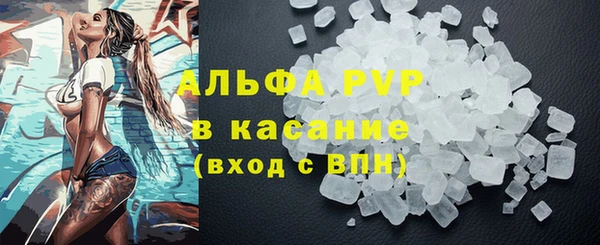 сатива Алзамай