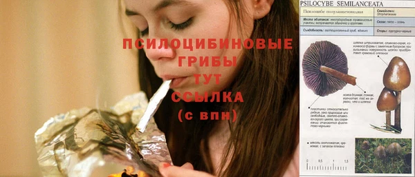 сатива Алзамай