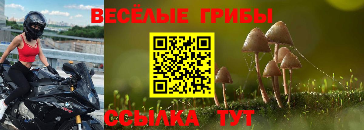 Галлюциногенные грибы Psilocybine cubensis Алексин